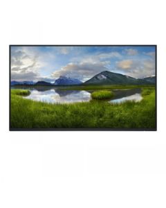 Dell 24 p2425h fhd ips 16:9 pivot 100hz usbc-15w (no stand)